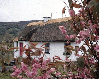 Connemara Country Cottages Glentrasna 외부 사진